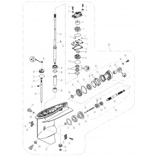 PARSUN F60 Lower casing and drive 1